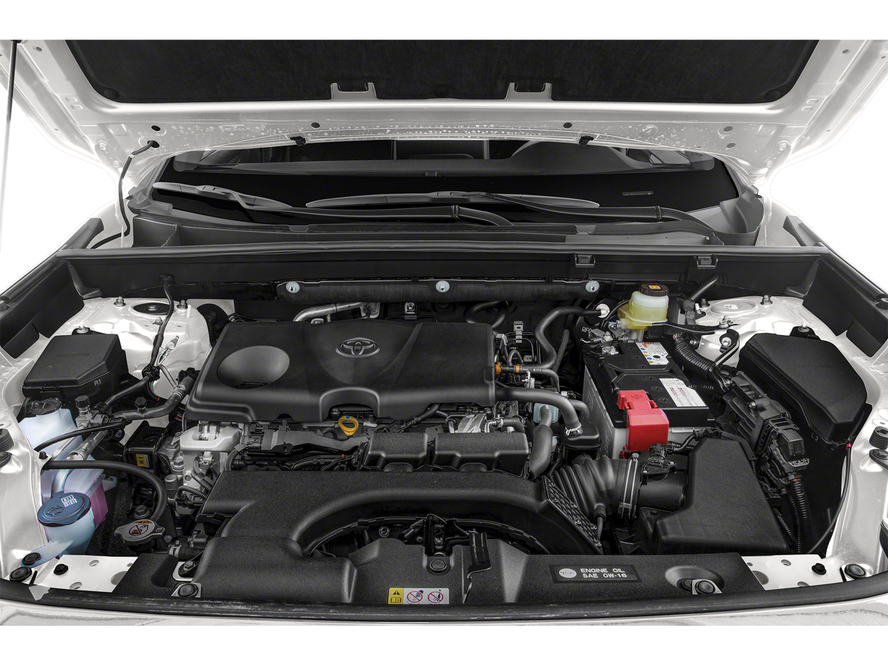 2019 Toyota Rav4 LE AWD (Natl)