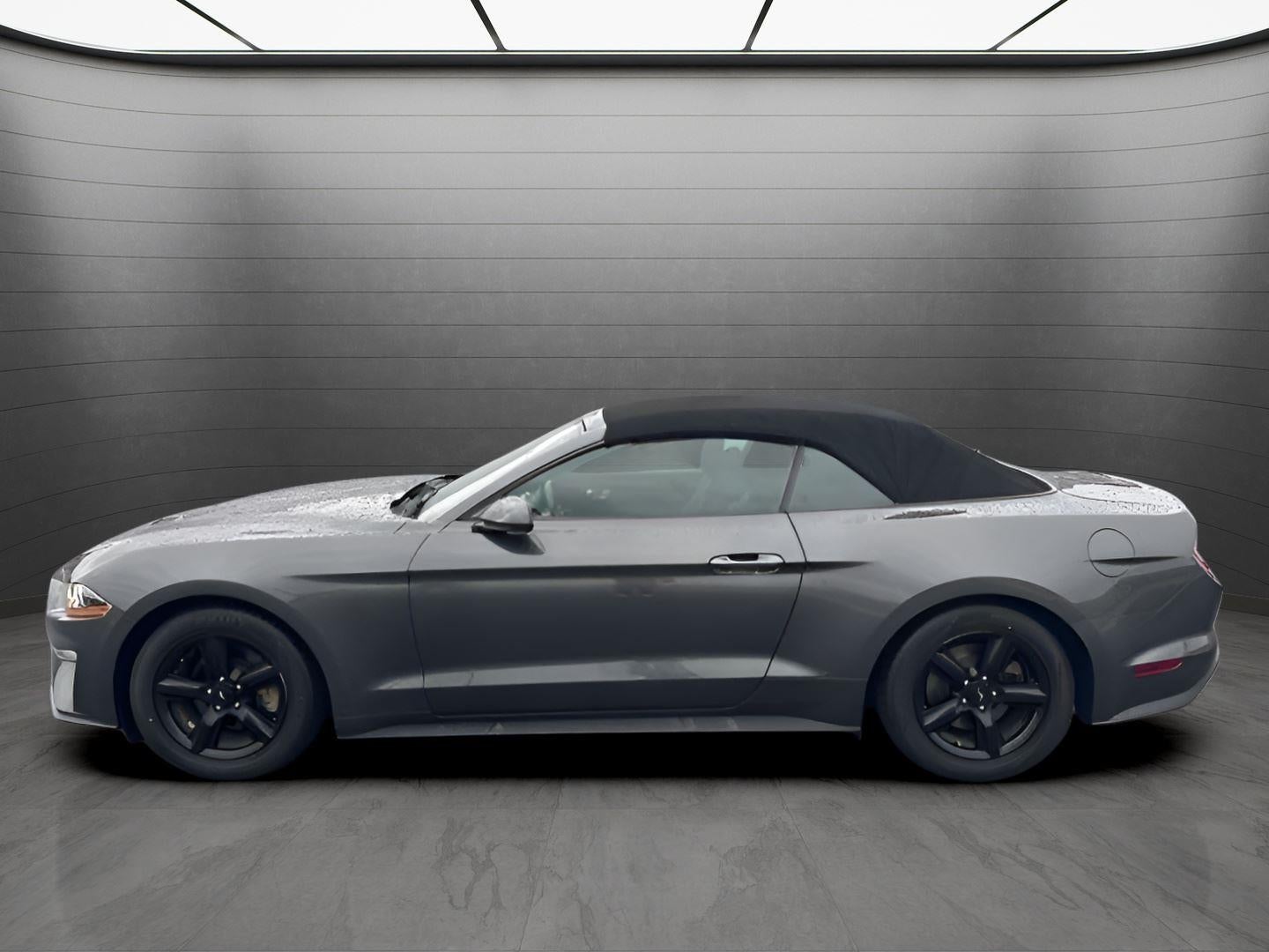 2019 Ford Mustang EcoBoost