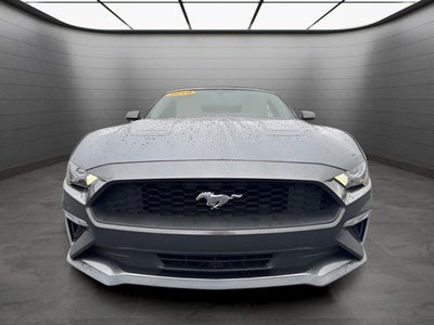 2019 Ford Mustang EcoBoost