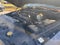 2016 RAM 2500 Power Wagon