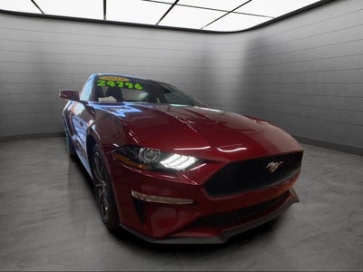2019 Ford Mustang EcoBoost